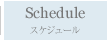 スケジュール