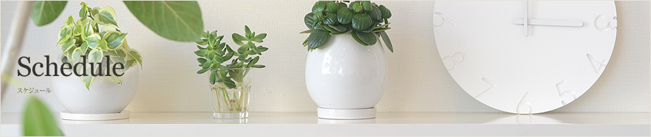 スケジュール
